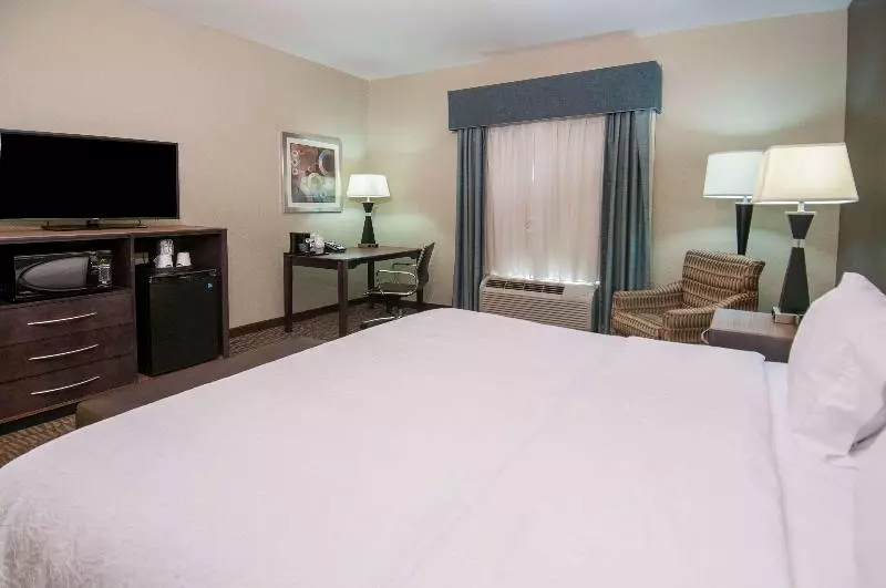 キングサイズベッドのスタンダードルーム, Hampton Inn Hernando