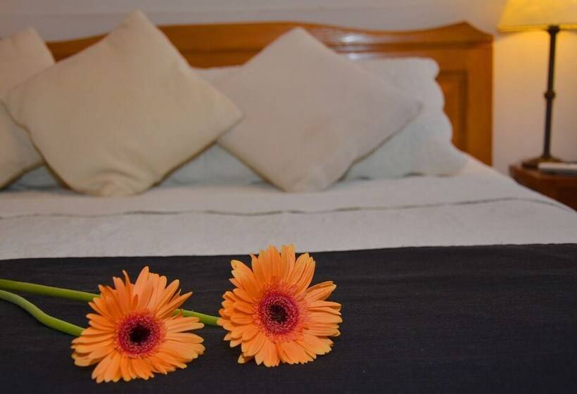 스탠다드 룸, Posada Del Río