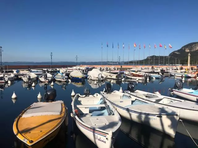سوئیت جونیور خانوادگی, Rta Doria
