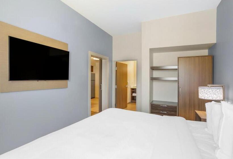 장애인을 위한 스위트, Mainstay Suites North  Central York