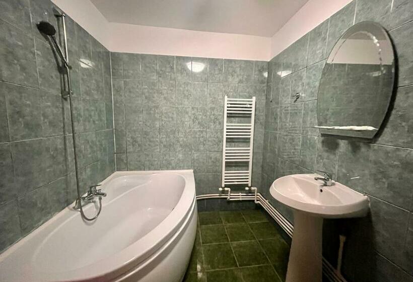 اتاق استاندارد سه نفره, Complex Popas Pacurari