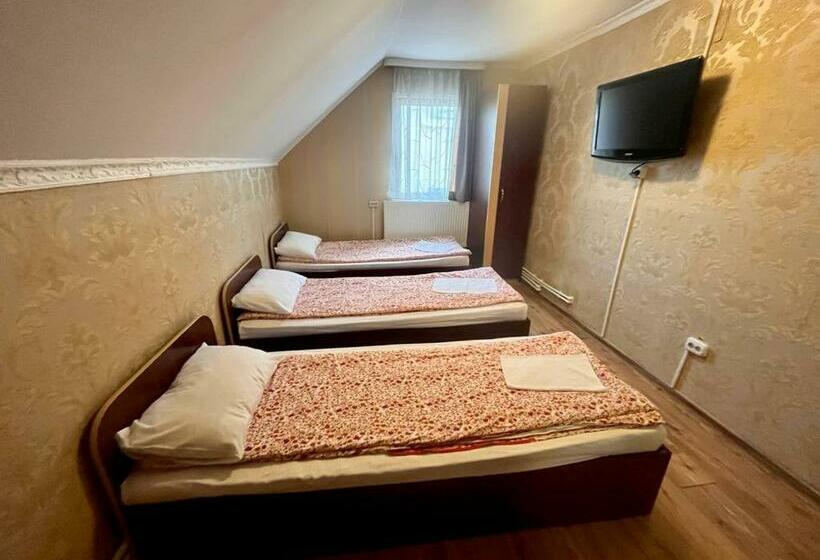 اتاق استاندارد سه نفره, Complex Popas Pacurari