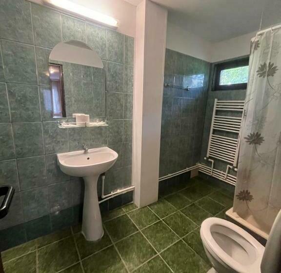 اتاق استاندارد سه نفره, Complex Popas Pacurari