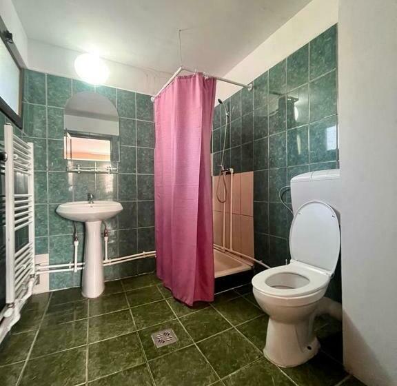 اتاق خانوادگی, Complex Popas Pacurari