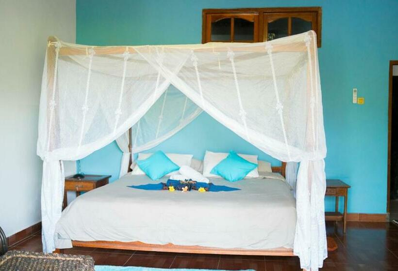 标准间, Lovina Vibes