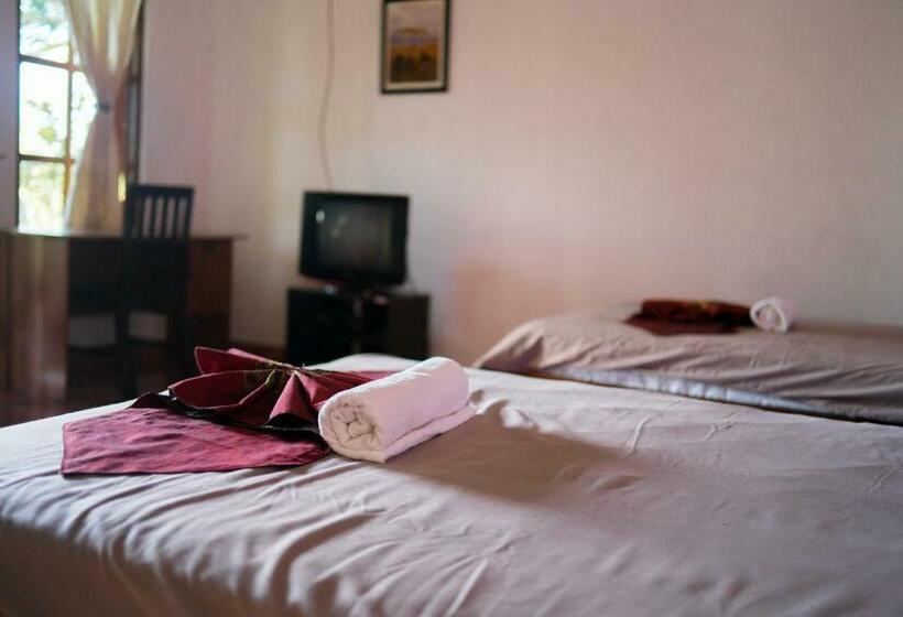 标准房带园景, Lovina Vibes