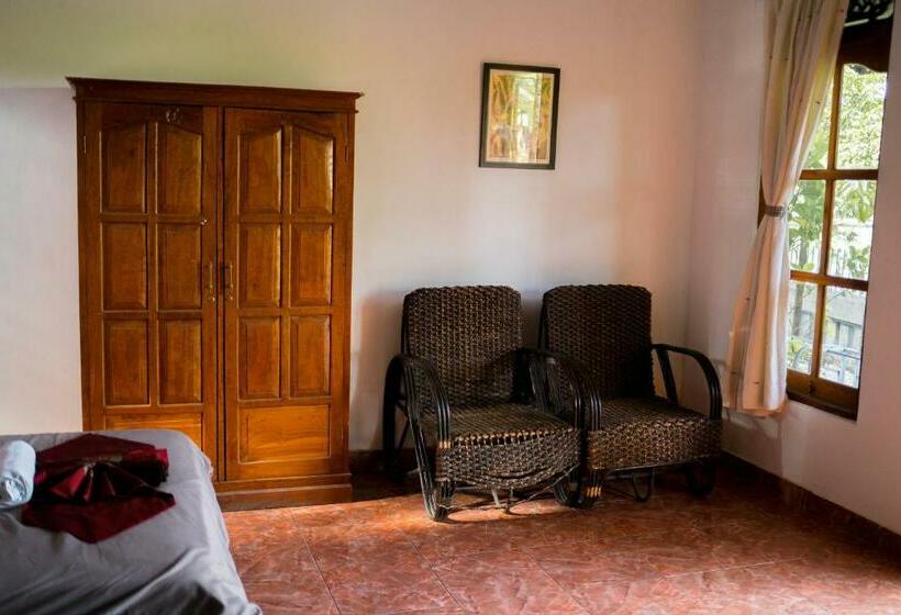 标准房带园景, Lovina Vibes