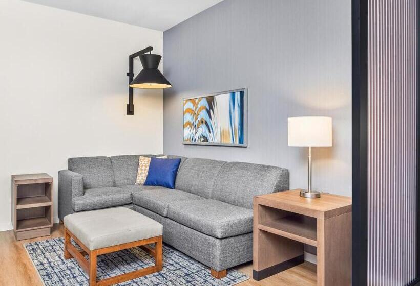 Quarto Estandar para Deficientes Físicos, Hyatt Place Houston Medical Center