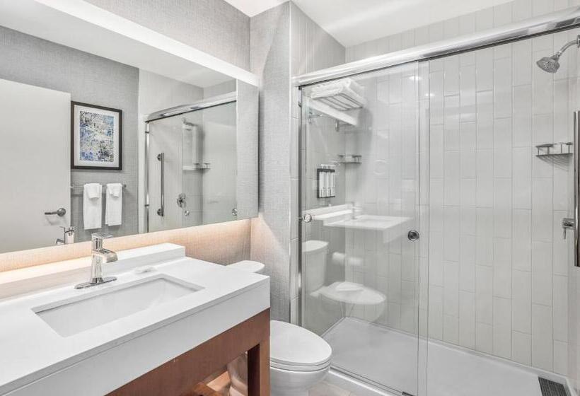 Quarto Estandar Cama King, Hyatt Place Houston Medical Center