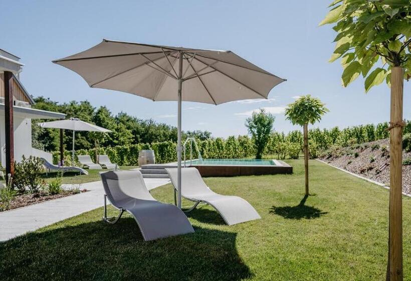 Апартаменты 1 Спальня Вид на Бассейн, Weinberg Chalet 2