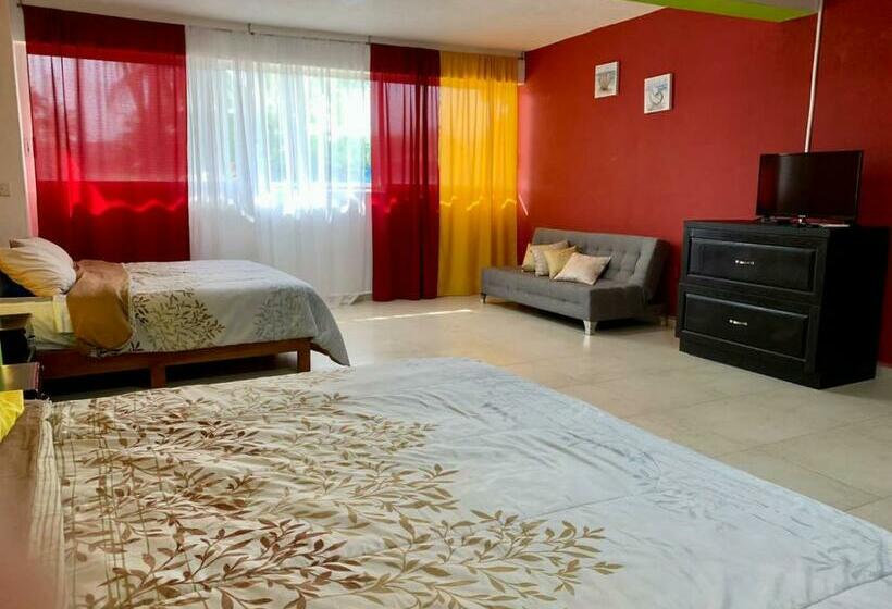 스탠다드 룸, Boutique Cvc