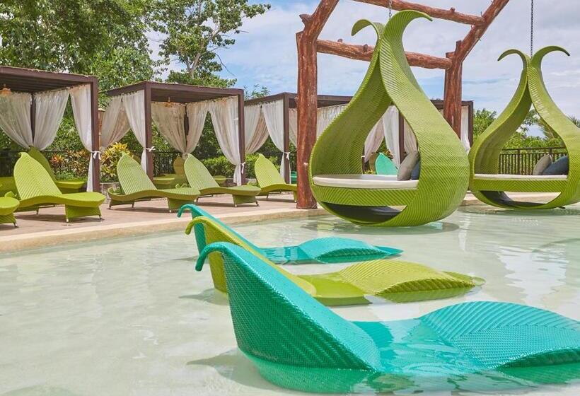اتاق سوپریور با تخت بزرگ, Tag Resort