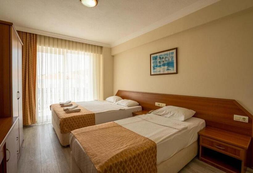 غرفة قياسية, Ergin