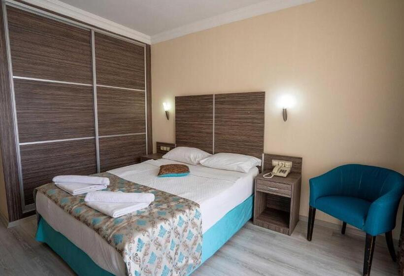 غرفة قياسية, Ergin