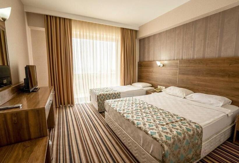 غرفة قياسية, Ergin