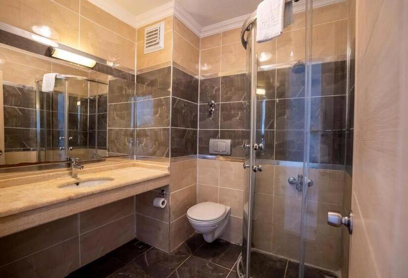 غرفة قياسية, Ergin