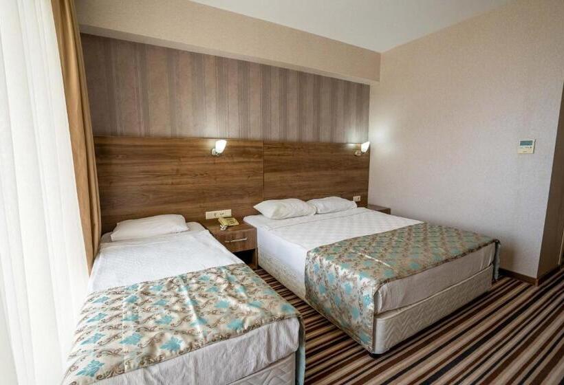 غرفة قياسية مطلّة علي البحر, Ergin