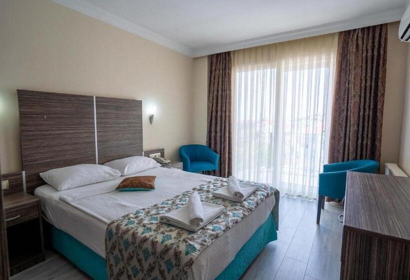 غرفة قياسية مطلّة علي البحر, Ergin