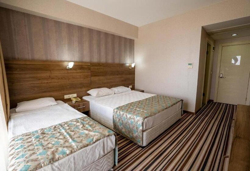 غرفة قياسية مطلّة علي البحر, Ergin