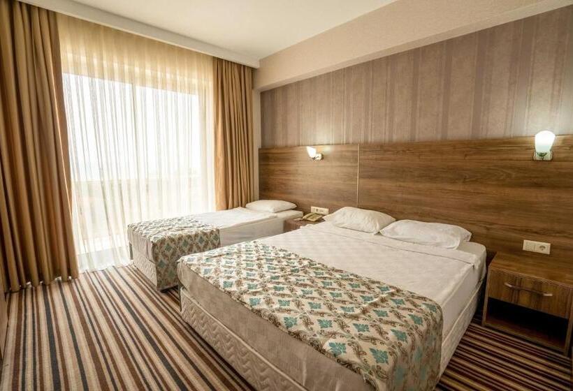 غرفة قياسية مطلّة علي البحر, Ergin