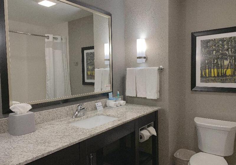 스탠다드 룸 킹사이즈 침대, Holiday Inn Express And Suites Madison Central, An Ihg