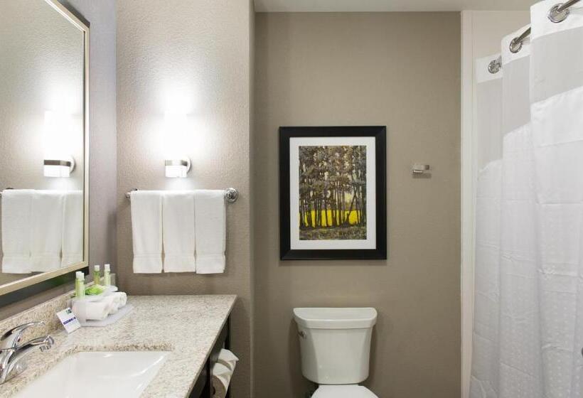 适合残疾人士使用的带超级大床的标准间, Holiday Inn Express And Suites Madison Central, An Ihg