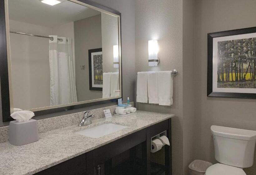 장애인을 위한 킹사이즈 침대 스탠다드 룸, Holiday Inn Express And Suites Madison Central, An Ihg