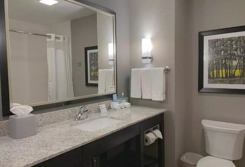 スタンダードルーム, Holiday Inn Express And Suites Madison Central, An Ihg