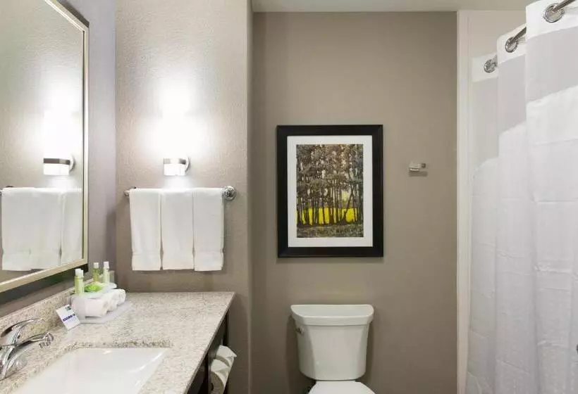 スイート, Holiday Inn Express And Suites Madison Central, An Ihg