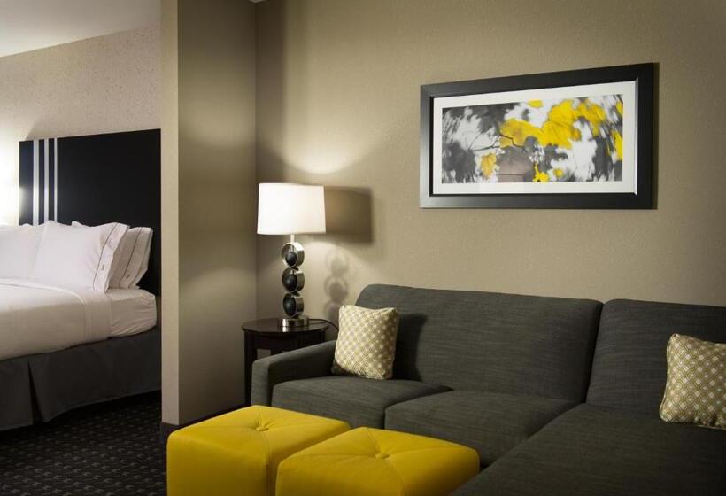 스위트, Holiday Inn Express And Suites Madison Central, An Ihg