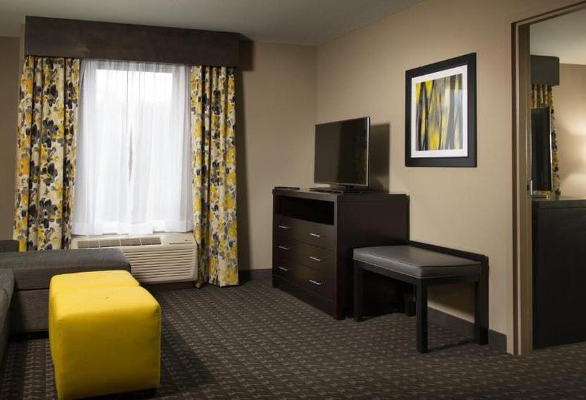 行政套房, Holiday Inn Express And Suites Madison Central, An Ihg