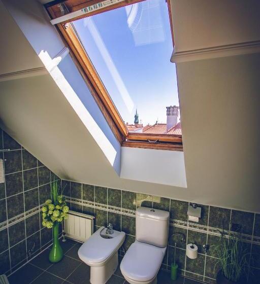 شقة دور أخير غرفة نوم واحدة, Katerina