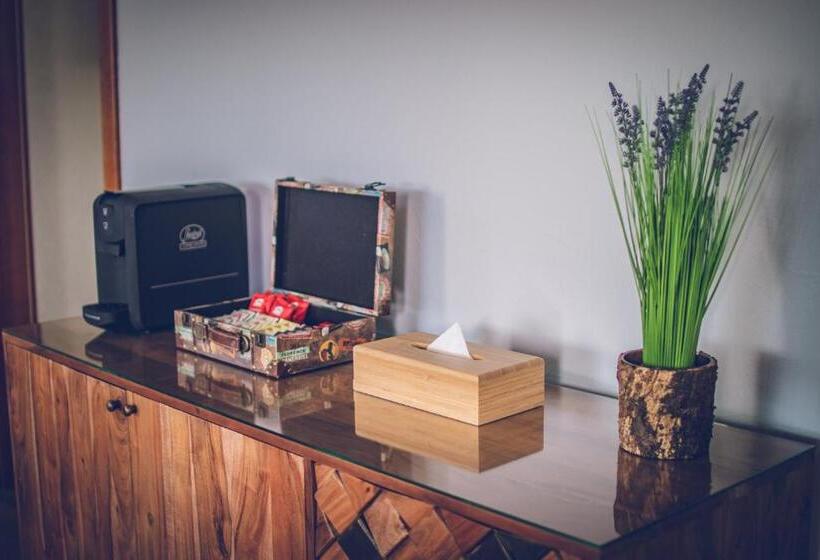 شقة غرفة واحدة, Katerina