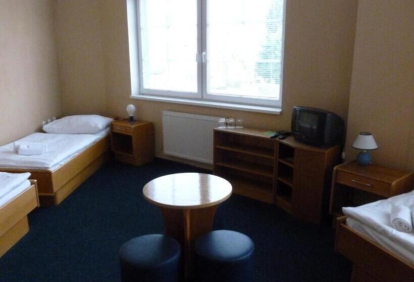 غرفة قياسية فردية, Penzion šenk Pardubice