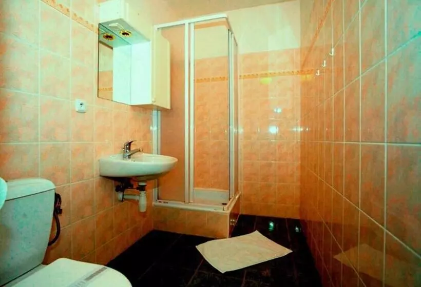 اتاق استاندارد, Penzion šenk Pardubice