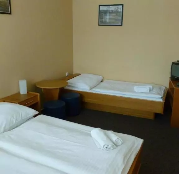 اتاق استاندارد سه نفره, Penzion šenk Pardubice
