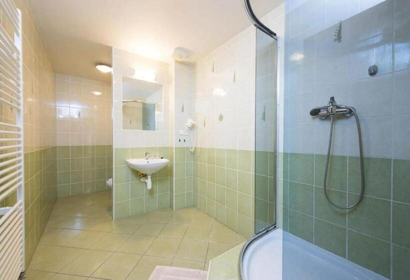 １ベッドルームアパートメント, Spolcentrum