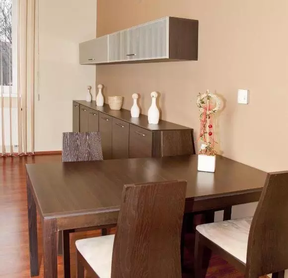 Duplex Apartment 1 Schlafzimmer, Spolcentrum
