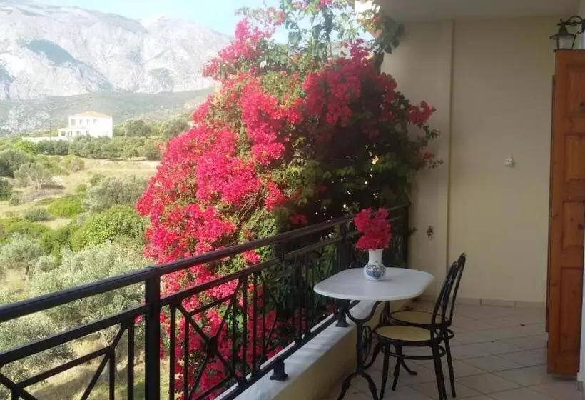 Appartement 1 Chambre, Thalina