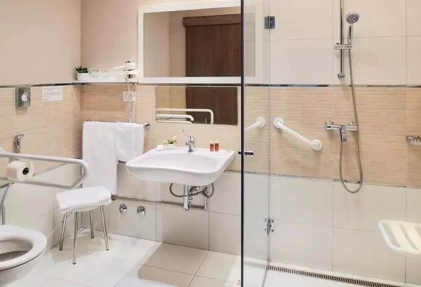 اتاق استاندارد برای معلولان, Medjugorje Hotel & Spa