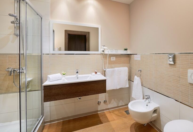 اتاق استاندارد, Medjugorje Hotel & Spa