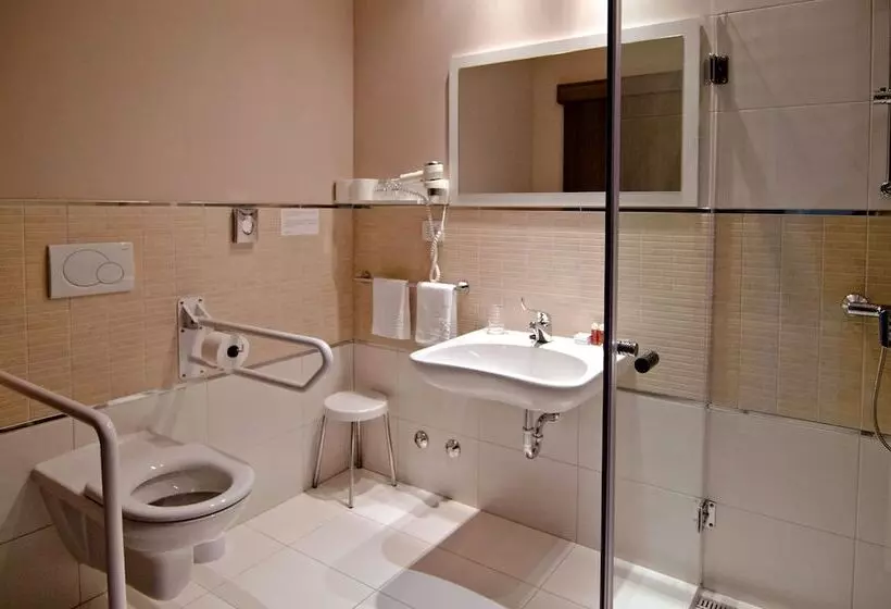 اتاق استاندارد برای معلولان, Medjugorje Hotel & Spa