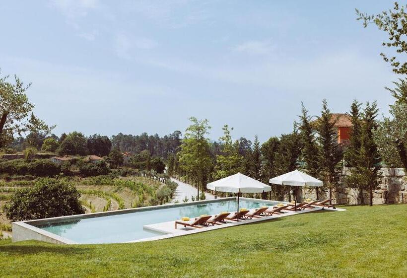 استودیوی لوکس, Oliveiras Village — Agroturismo