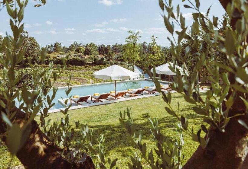استودیوی استاندارد, Oliveiras Village — Agroturismo