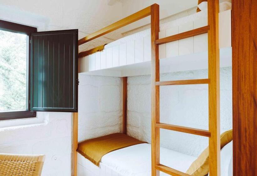 استودیو خانوادگی, Oliveiras Village — Agroturismo