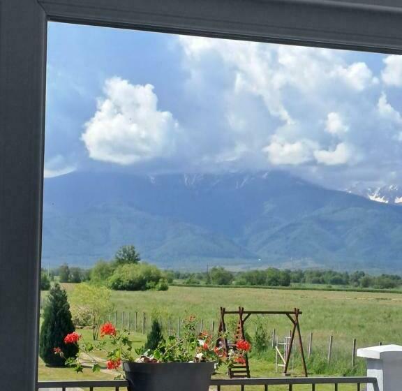 Номер Стандарт Вид на Горы, La Izvoare Pensiune Păstrăvărie