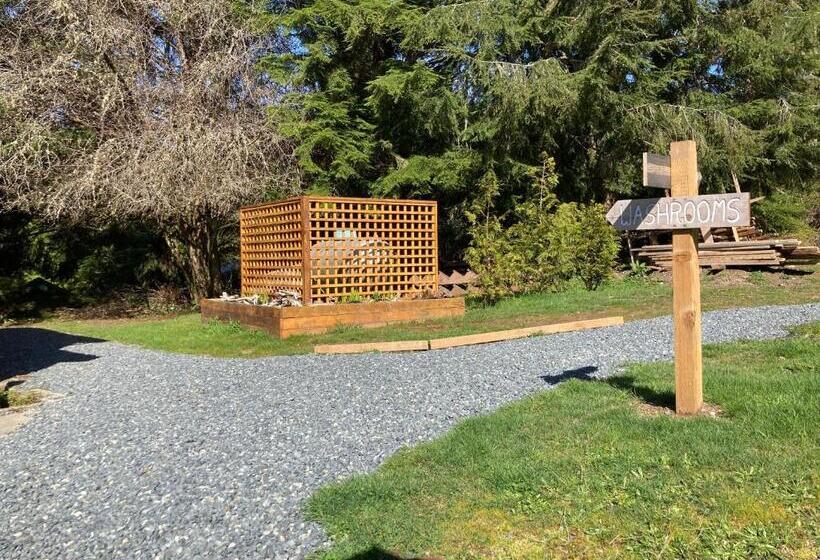 חדר סטנדרט חדר אמבטיה משותף, The Hiker Huts