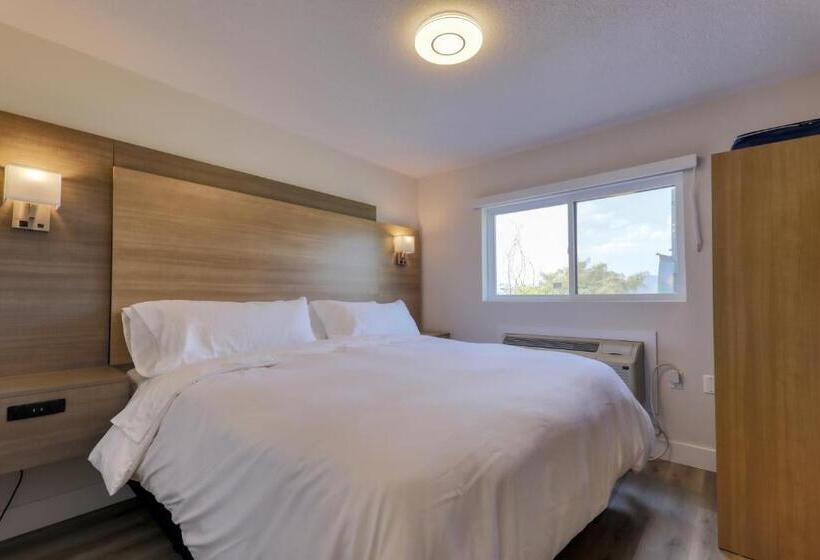 高级套房带海景, Harrison Grand Motel