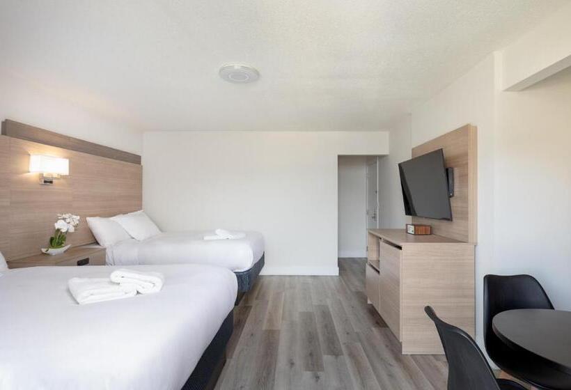 디럭스 스위트 킹 침대, Harrison Grand Motel