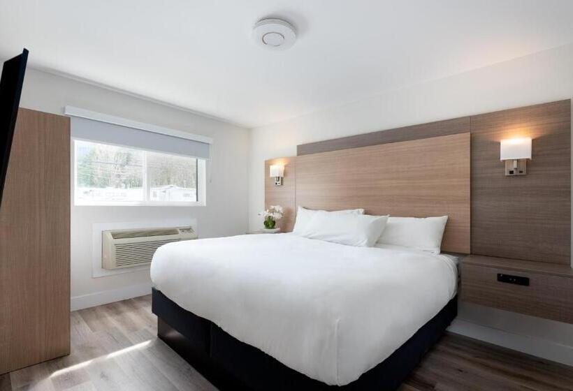 带大床的套房, Harrison Grand Motel